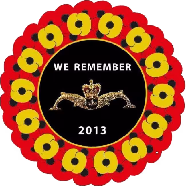2013 WRS Pin