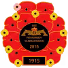 2015 WRS pin