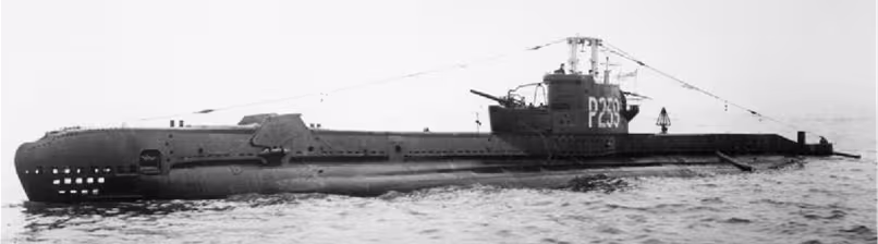 HMS Sidon